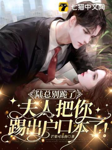 超维武仙境界划分