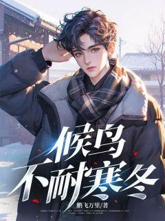 羽皇电视剧免费观看全集