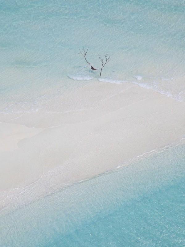 思想汇报2023年第四季度