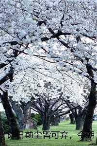 渡劫失败后我拿了真千金剧本起点