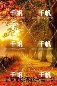 晚风如诉在线观看